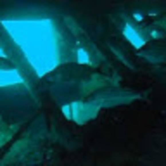 Meet your Posher, Scott - Picture 1 of 1